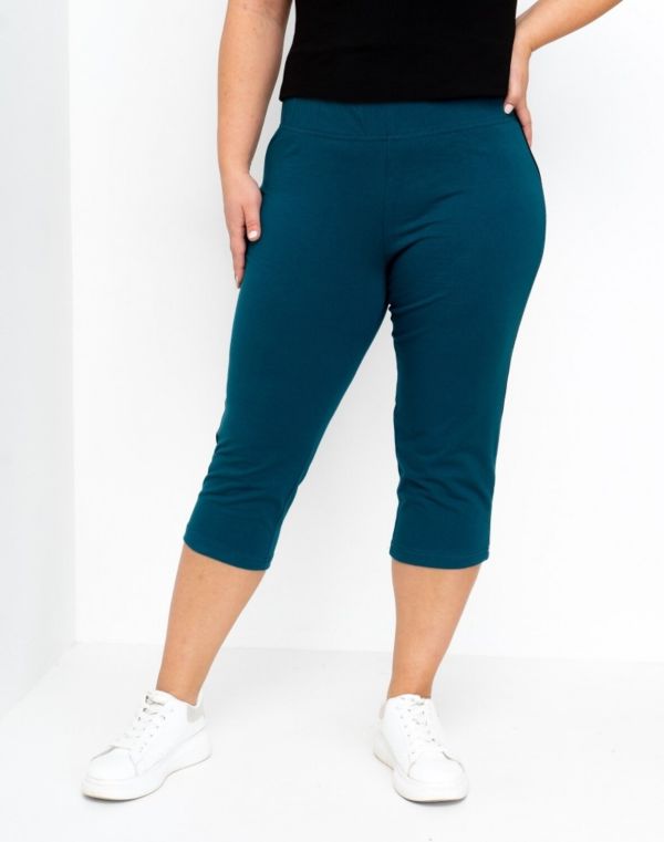 460860 Binita Breeches